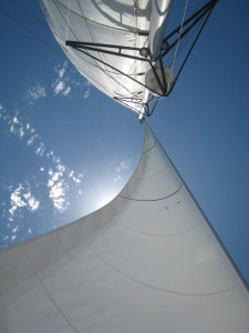 catamaran small